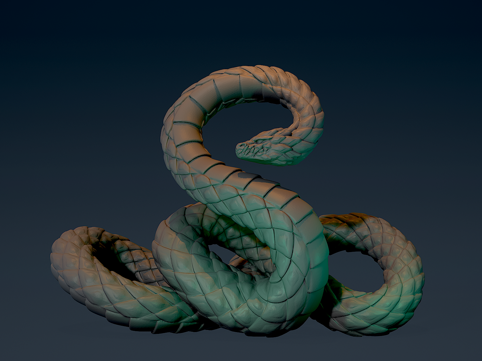Titanoboa